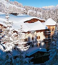 Plongée dans les tendances culinaires de 2008