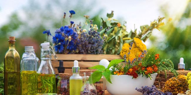 La naturopathie : entre promesses et dérives