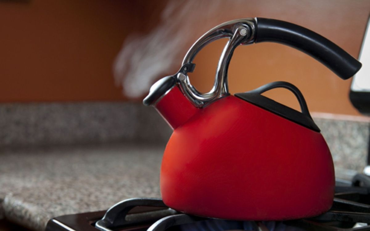 Comment choisir la bouilloire parfaite pour votre cuisine