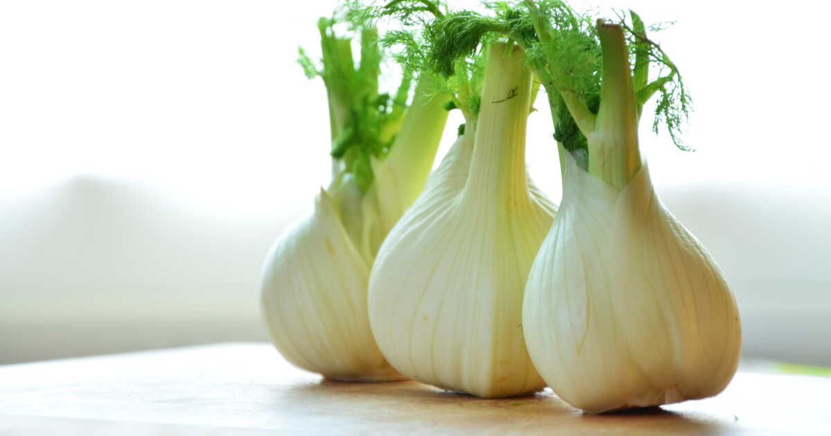 Peut-on congeler du fenouil ?