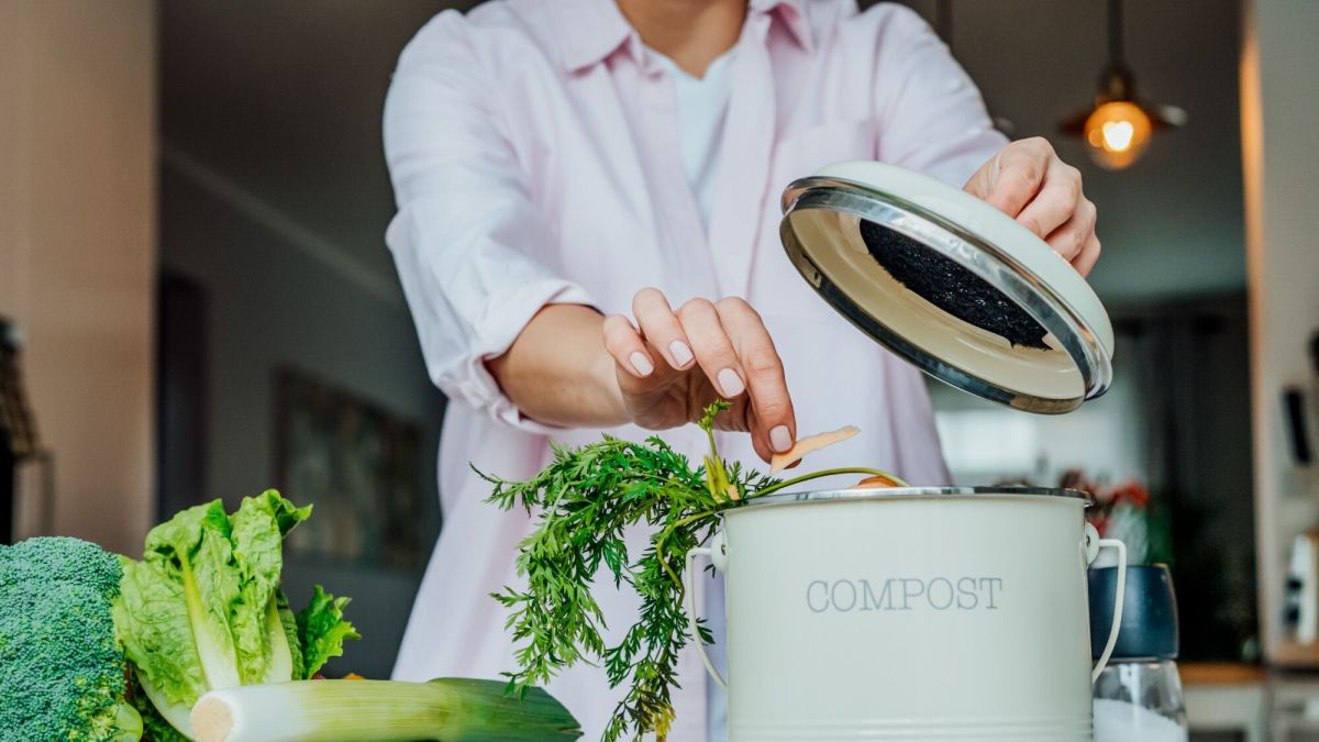 déchêts organiques : obligation de tri en 2024, que faut-il savoir ?