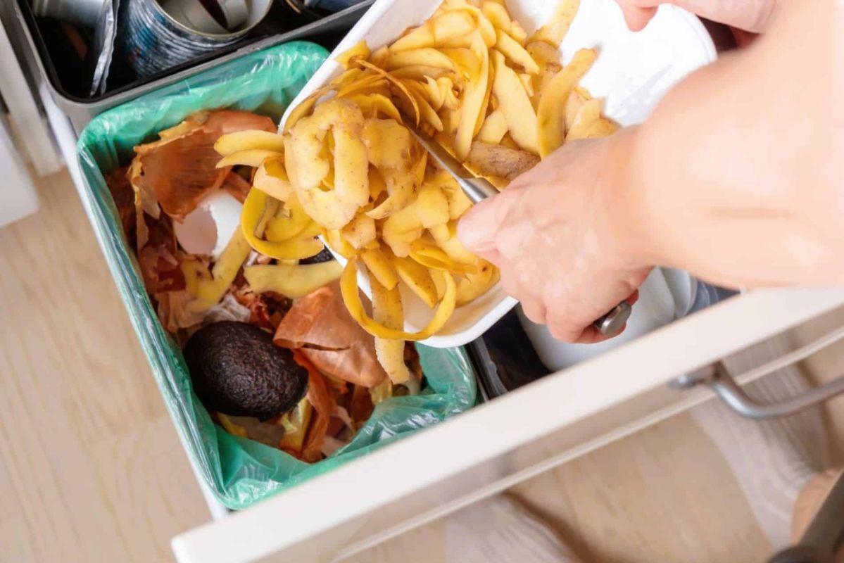 Transformez vos épluchures en or pour la terre : le compost express à la rescousse