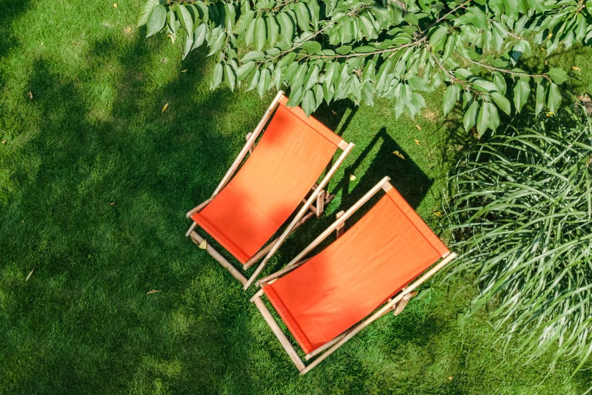 Transformez votre jardin en source de revenus : découvrez comment