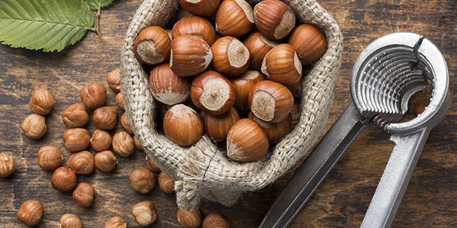 La noisette : un trésor à récolter et à savourer