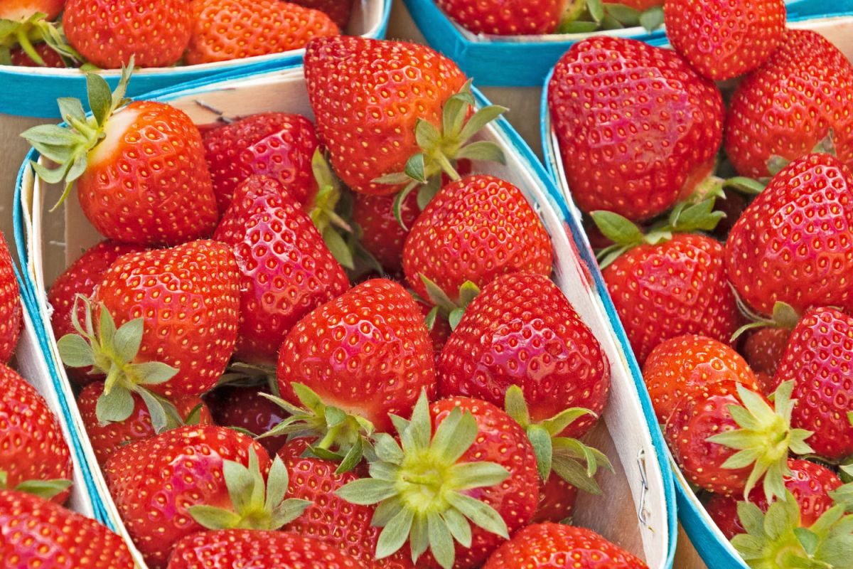 les mystères des petites graines blanches sur les fraises dévoilés