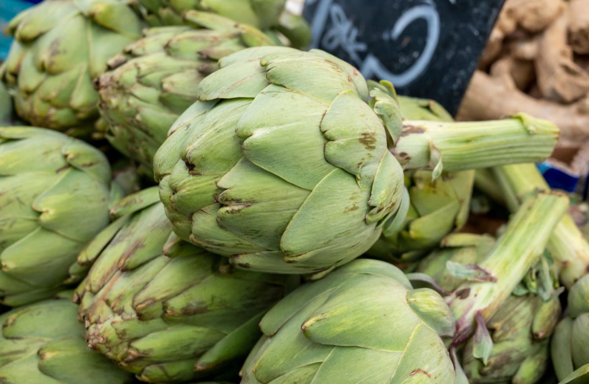 Comment choisir des artichauts pour les conserver plus longtemps