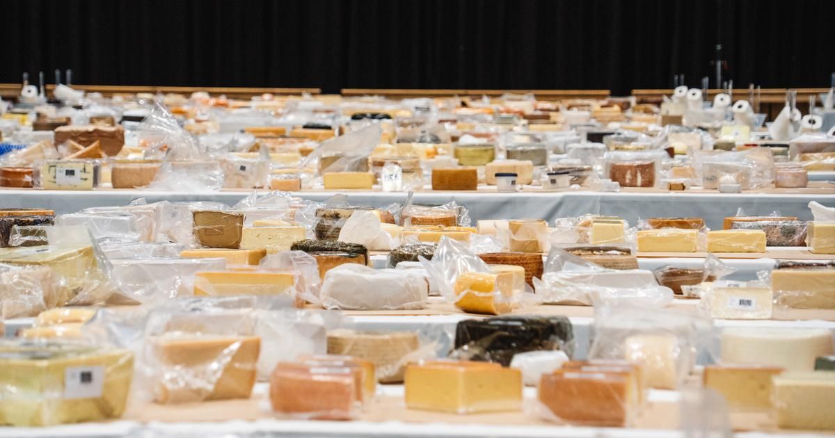 La Suisse sacre son fromage du monde au coeur des World Cheese Awards