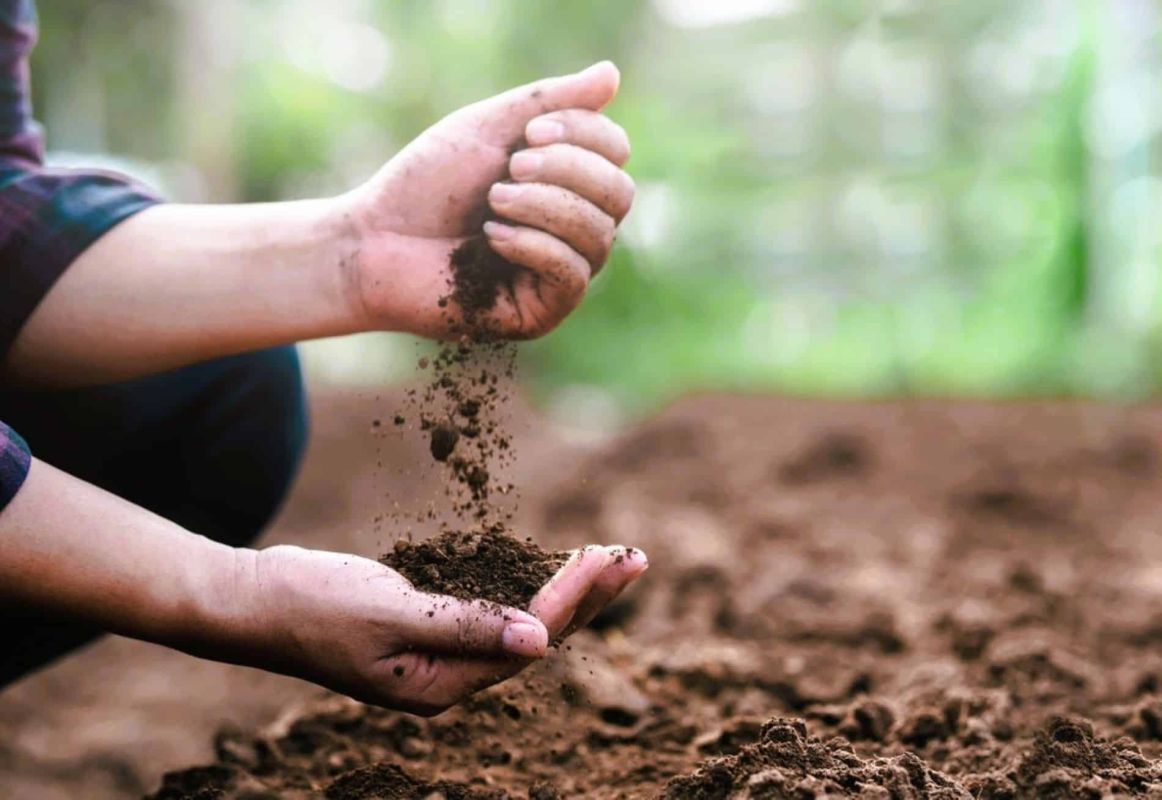 Transformez votre sol argileux en terre fertile et souple en trois étapes simples