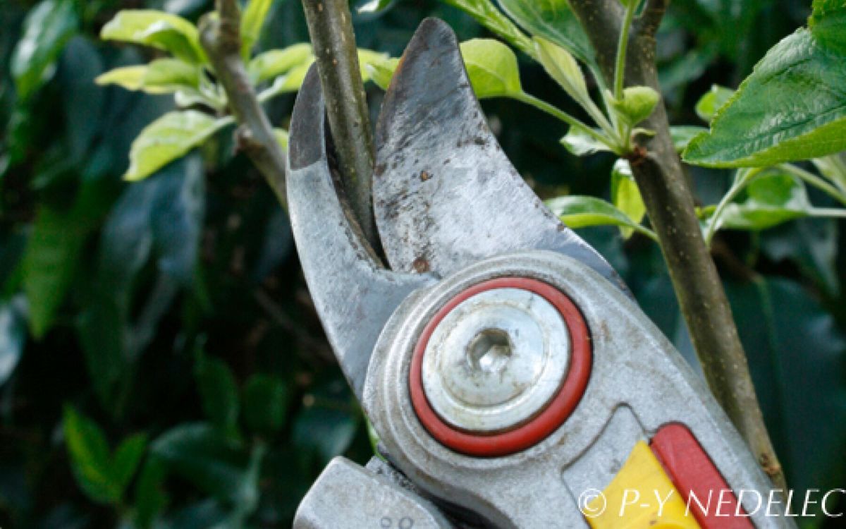 Préparez vos récoltes : 5 astuces essentielles à ne pas manquer