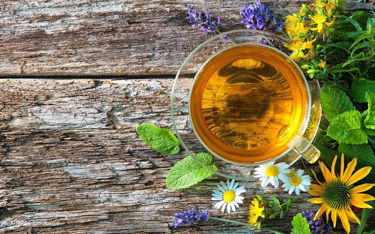 Cultiver vos propres tisanes : un jardin aux mille bienfaits