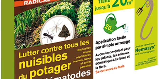 Nématodes : amis du potager ou ennemis redoutables ?