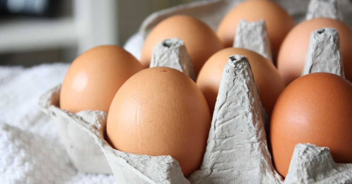 Oeufs de poule : nettoyer leur coquille, bon ou mauvais réflexe ?