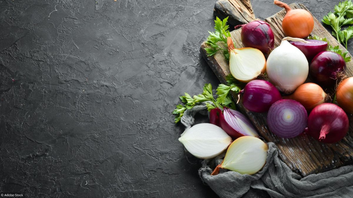 L'oignon, héros de nos cuisines et potagers