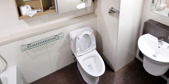 Les secrets d'une chasse d'eau sans fuite : comment faire face aux fuites de WC
