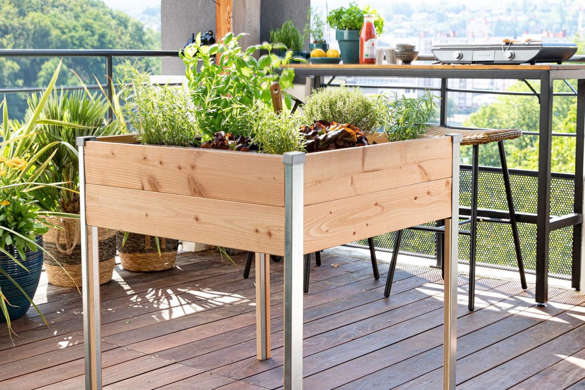 Cultiver un potager sur pieds : astuces pour petits espaces