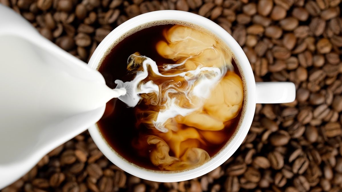 Café au lait : quel lait choisir pour maximiser les bienfaits ?