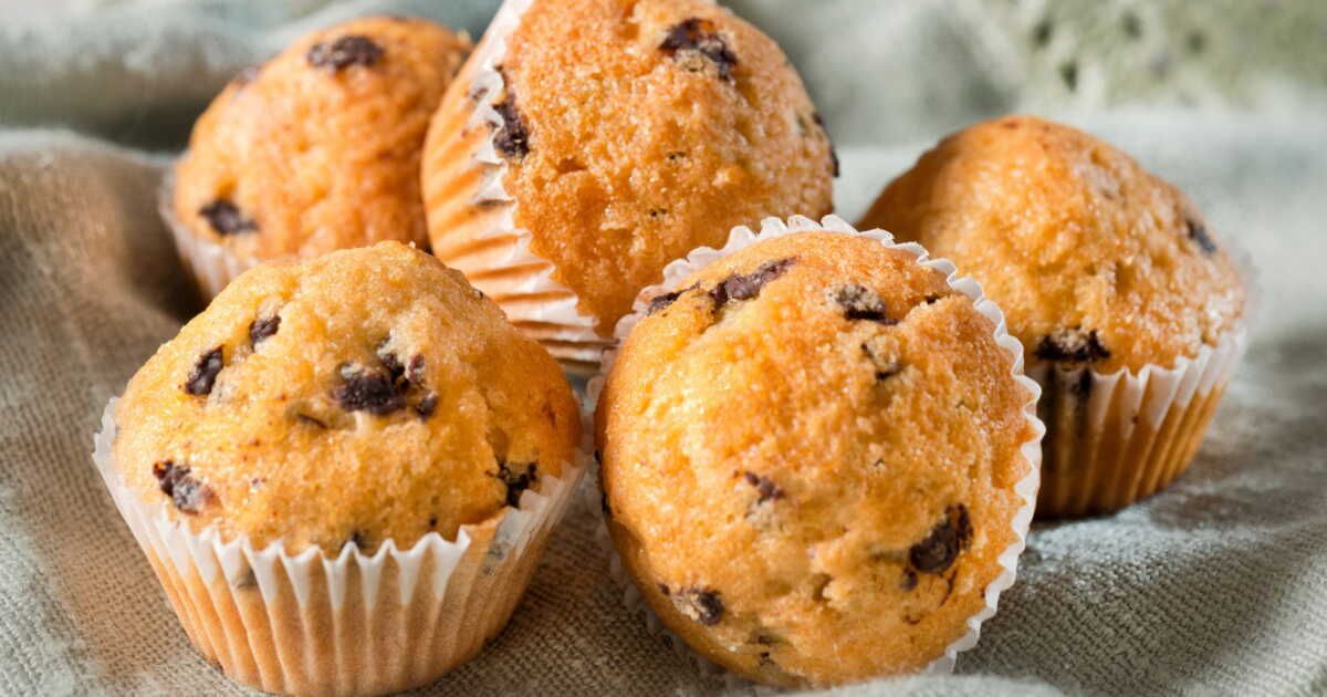 découvrez 22 recettes légères et sans sucre pour régaler vos papilles