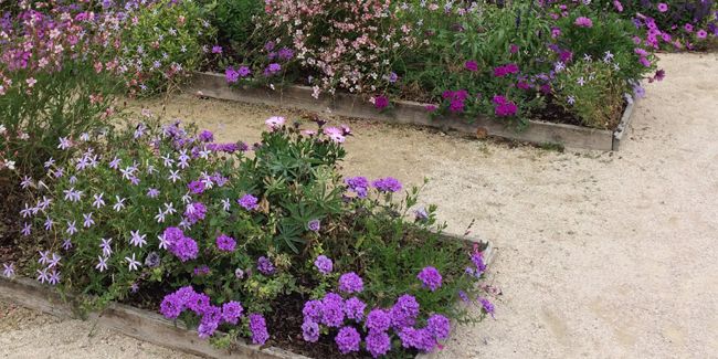 Choisir les bordures de jardin pour harmoniser votre espace extérieur