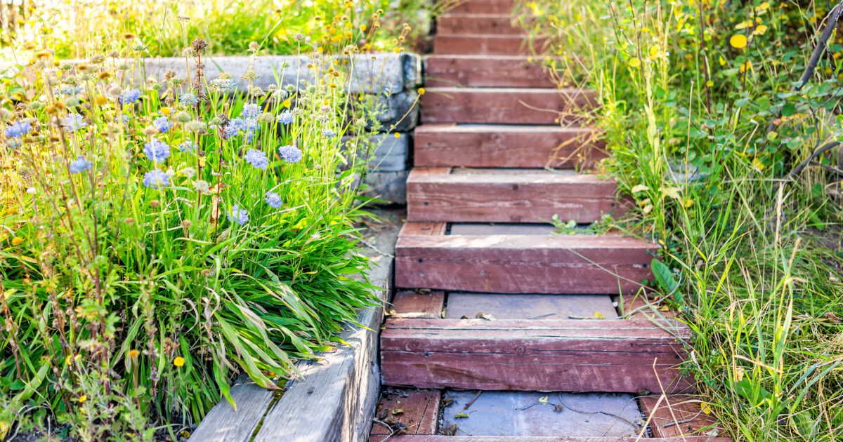 Que planter dans un jardin en pente ?