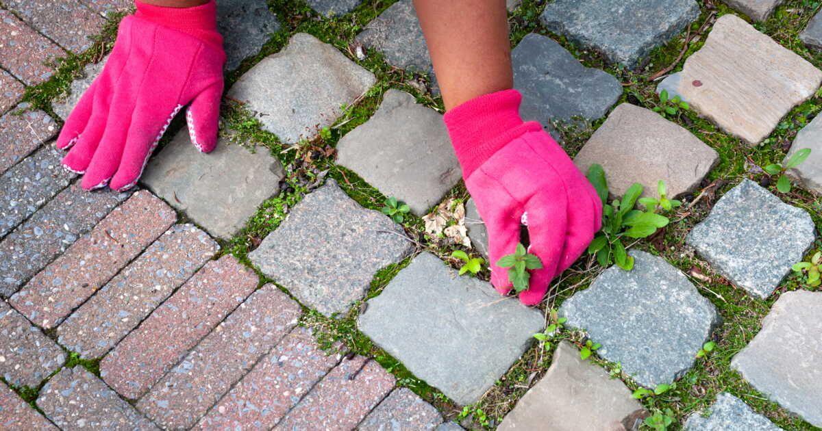 débarrasser votre terrasse des mauvaises herbes avec un désherbant naturel et efficace