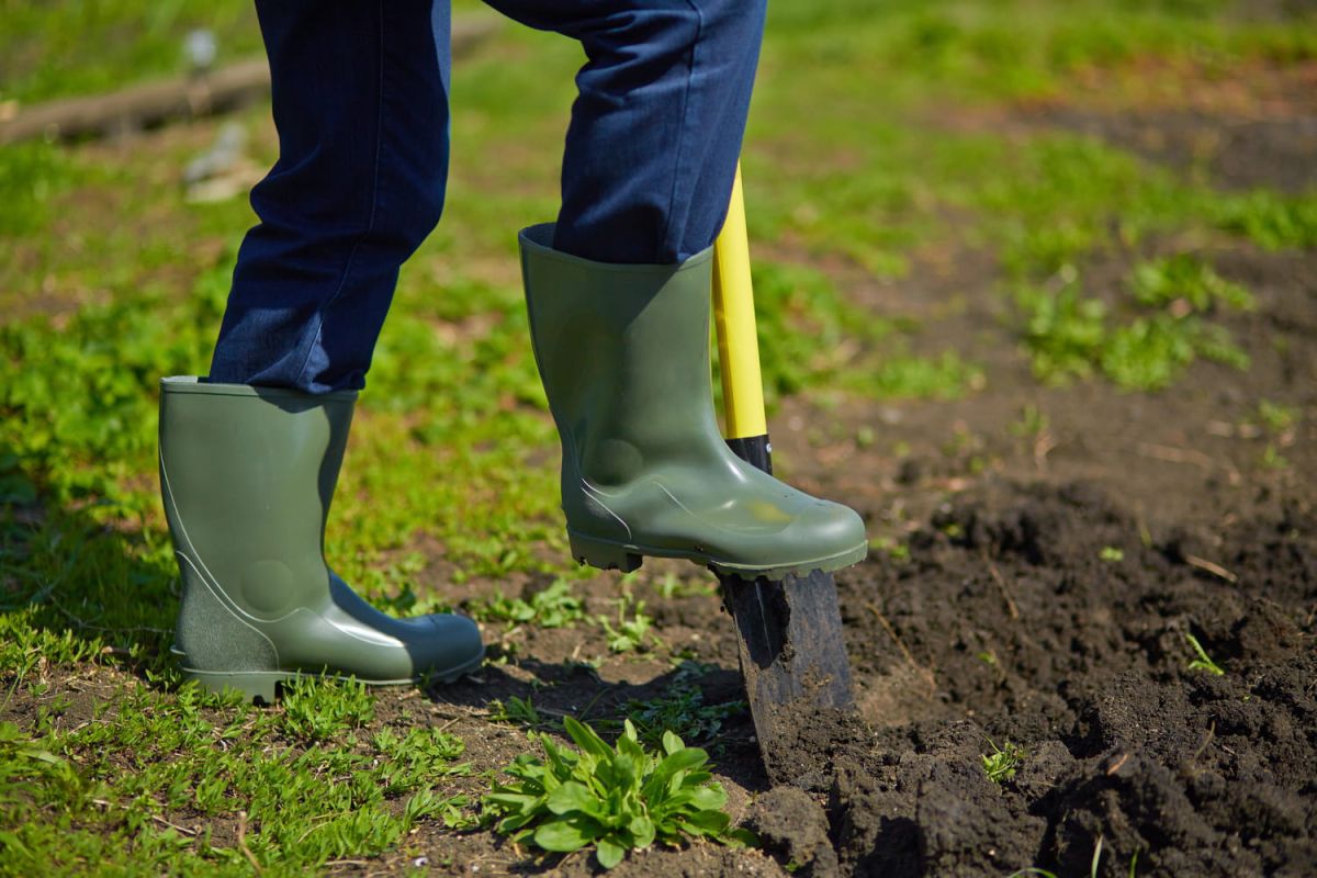 Bêcher son jardin : guide essentiel pour un sol fertile
