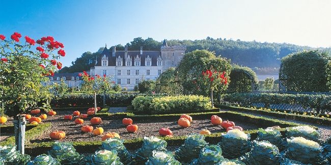 découvrez l'enchantement des jardins du château de villandry