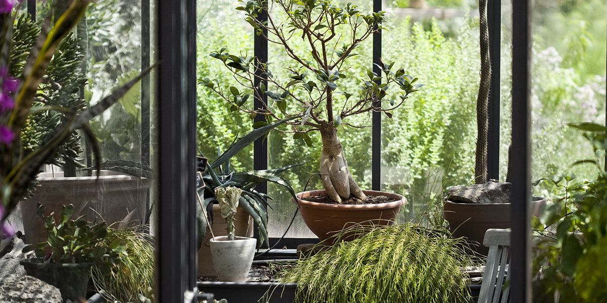 Aménager un jardin d'hiver : les clés pour réussir