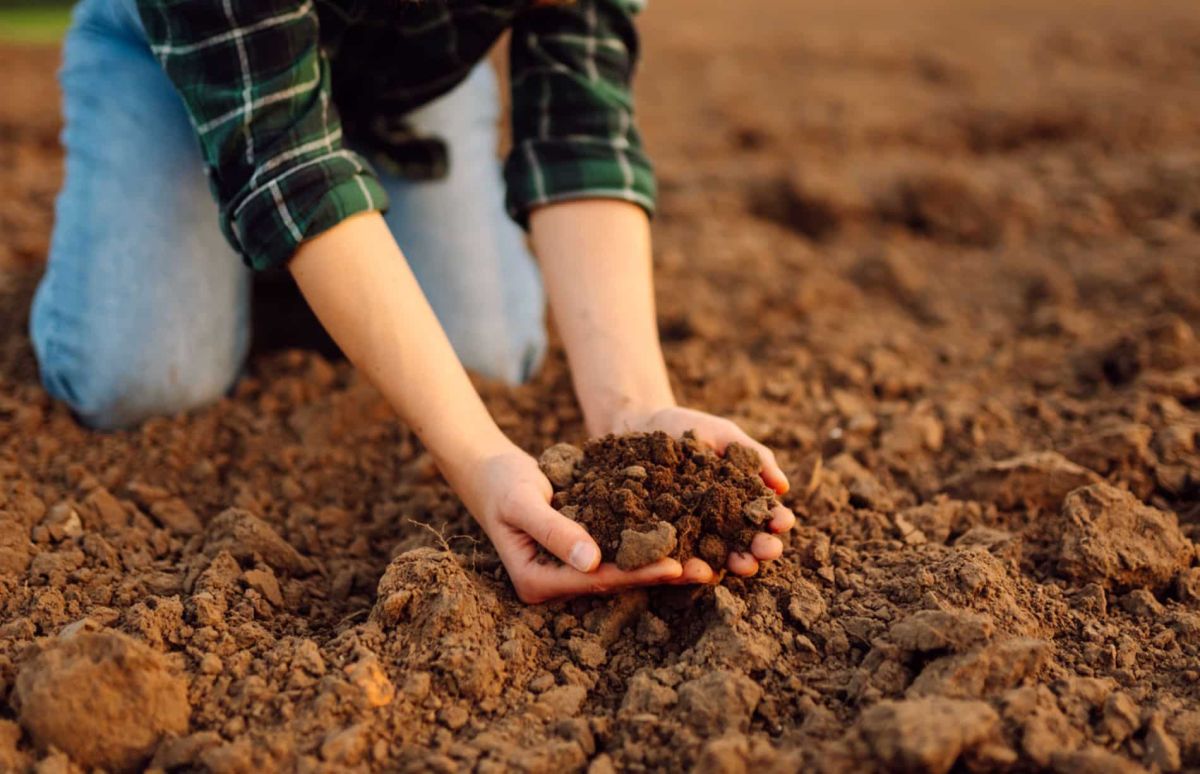 Mars approche : prêtez-vous à ces préparatifs essentiels pour un potager florissant !