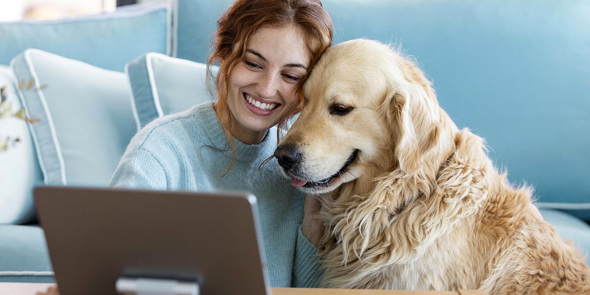Découvrez le comparateur d'assurance pour chien : simple et efficace en 2025