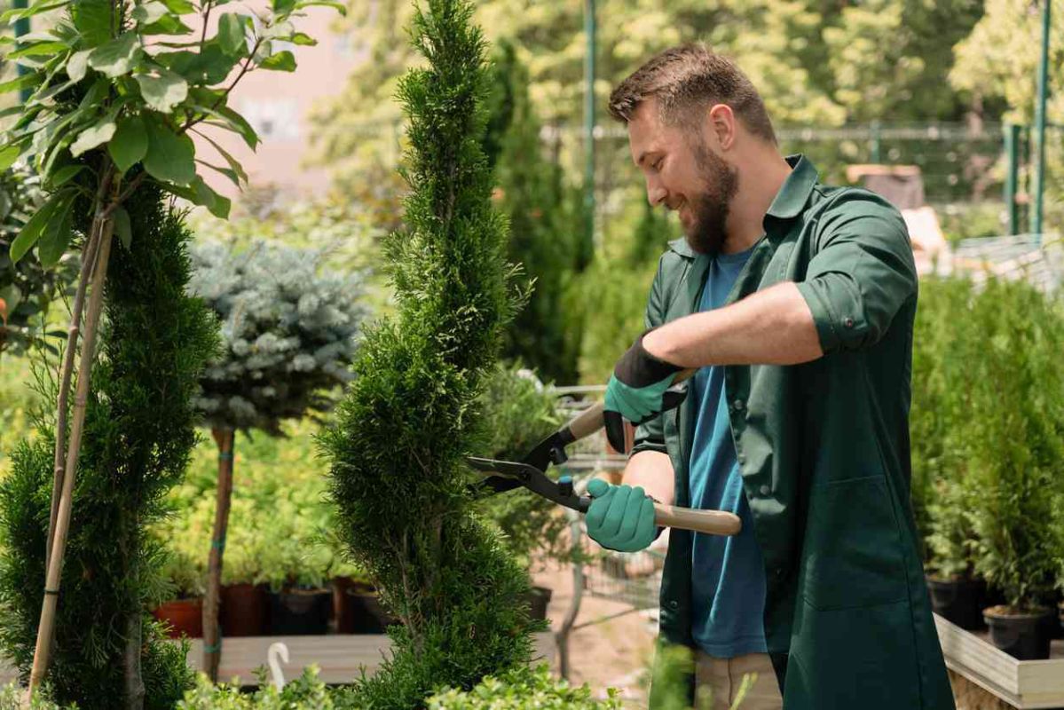 Comment un paysagiste peut transformer votre jardin : conseils pratiques