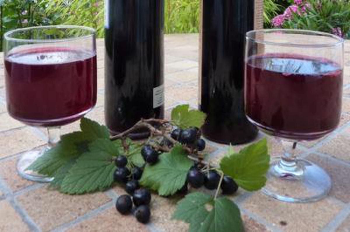 Découvrez la recette du sirop de cassis fait maison